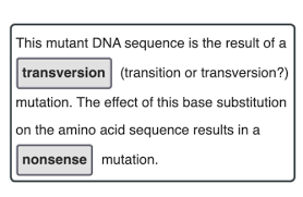 A mutation is a change in dna, the hereditary material of life. Types Of Base Substitution Mutations Quizlet