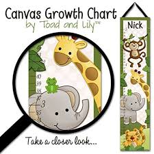 canvas growth chart jungle safari animals in green babies