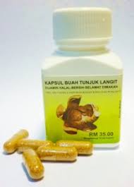 Diatas kebesaran allah buah tunjuk langit ini telah terbukti mempunyai sifat2 yang buah tunjuk langit secara semulajadi, mengandungi nutrien yang tinggi kerana akarnya mencecah 20 kaki ke dalam tanah, tidak mengandungi kesan sampingan. June 2014 Kapsul Tunjuk Langit