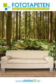 Wald Fototapete Wald Naturbilder Fur Wandgestaltung Homedesign In 2020 Fototapete Wald Fototapete Wald Tapete