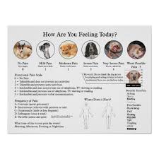 Pin On Pain Poster