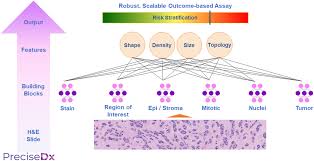 Analytical Validation of the PreciseDx Digital Prognostic Breast Cancer  Test in Early-Stage Breast Cancer