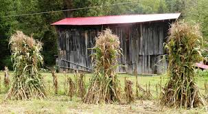 Our headquarters are located in pennsylvania so we must collect taxes for shipments being delivered into pennsylvania. Shock Ingly Beautiful Simply Appalachian