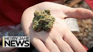 How an online medical marijuana evaluation works. How To Fly With Your Stash Merry Jane News Youtube