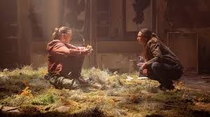 Love in the zombie apocalypse