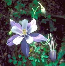 Pin On High Plains Landscaping