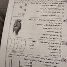إجابات امتحان الأحياء توجيهي 2021 فلسطين. 6kj8vnzy8dsxfm