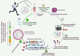 Places lima, peru restaurantlatin american restaurantperuvian restaurant ta bueno ya. Rna Based Therapies A Cog In The Wheel Of Lung Cancer Defense Molecular Cancer Full Text
