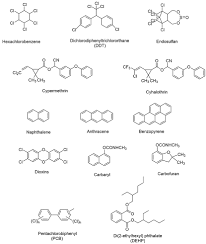 Join to listen to great radio shows, dj mix sets and podcasts. Frontiers Recent Advanced Technologies For The Characterization Of Xenobiotic Degrading Microorganisms And Microbial Communities Bioengineering And Biotechnology