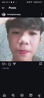 Healing pawn in Dragon's Dogma 2?