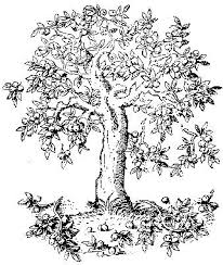 Apple Tree Clip Art Black And White Grow Your Own Crabapples Tree Coloring Page Fruit Coloring Pages Apple Coloring Pages