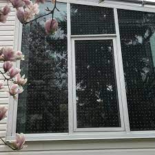 We did not find results for: How To Keep Birds From Hitting Windows American Bird Conservancy