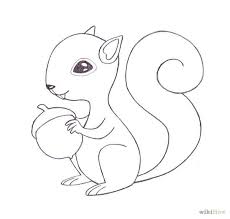 How To Draw A Squirrel Easy Animal Drawings Cute Animal Drawings Animal Drawings