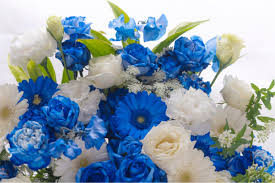 青い花20選｜花言葉の一覧も！贈り物に最適な色の組み合わせは？ | となりのカインズさん