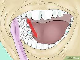What can you eat with spacers. 3 Ways To Eat With Separators In Your Mouth Wikihow