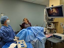 Mercer clinic for the pets of the homeless. Uc Davis Veterinary Medical Center San Diego 10 Photos 30 Reviews Veterinarians 10435 Sorrento Valley Rd San Diego Ca United States Phone Number