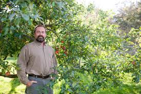 By sue weaver is the supermarket red delicious really an apple? Apple Picking Season Is Here Don T You Want More Than A Mcintosh The New York Times