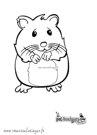 Coloriage Hamster Jpg 1063 1476 Ausmalen Ausmalbilder Panda Geburtstag Malvorlagen