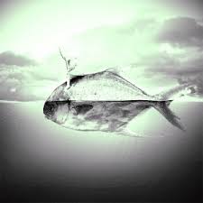 Ruyada Mavi Gomlek Giymis Erkek Gormek Ruyam Hayir Mi