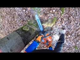 Baum Fallen Sicher Und Richtig Teil 1 Grundlagen Baum Fallen Baum Holzernte