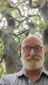 Huge Weeping Branch Tree