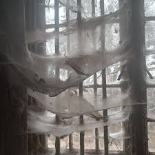 Michelle Collis (@michelle_collis) • Instagram photos and videos