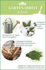 Gartenarbeit Im Januar In 2020 Gartenarbeit Garten Gartengestaltung