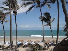 What time is it in ceara, brazil?local time. Hd Wallpaper Palm Trees Near Body Of Water Beach Ceara Brazil Sea Tropical Climate Wallpaper Flare
