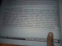 Check spelling or type a new query. 12 Pernyataan Yang Sesuai Dengan Paragraf Instruksi Tersebut Adalah A Terjadi Nya Abrasi Akan Brainly Co Id