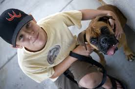 Jackie Drew Boxer Rescue 2025