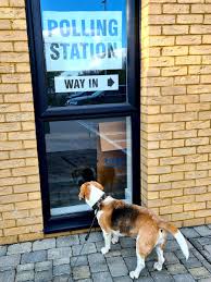 What are the different types of beach chairs? Otis Beagle Otis Beagle Twitter