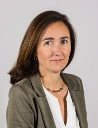 Contents and experts