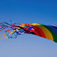 Newport Kite Festival 40th Anniversary event image