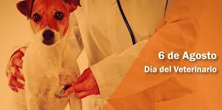 Hospital veterinario especializado los 365 dias. Dia Del Veterinario