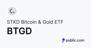 BTGD ETF 소개: 비트코인 100% + 금 100% 리턴 스태킹 개념 이미지