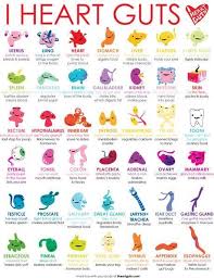 Pin By Karolina Tecza On Psyhology Biology Nursing School Survival Medical School Studying Nursing School Studying