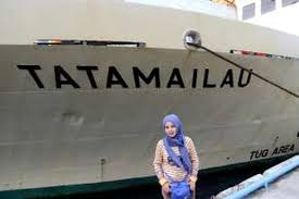 Jadwal dan harga tiket kapal ferry roro dari . Demi Raja Ampat Endah Rela Naik Kapal Dari Surabaya Ke Sorong Halaman All Kompas Com