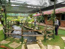 Chalet dan homestay kawasan kampung, penginapan murah dan terbaik untuk percutian tenang di johor. Lovely Homestay Janda Baik Bentong Malaysia Booking Com