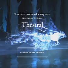 Unsurprisingly, not everyone was pleased with their result. My Patronus Is A Thestral I M So Excited To Have A Rare One Did You Take The Quiz What D You Get Patronus Aesthetic Thestral Patronus Hogwarts Aesthetics