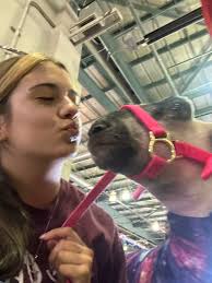 Fairentry deadline is July 21st at 11:59pm