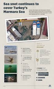 A drone photo shows an aerial view of the mucus covering a harbor near istanbul earlier this that's because a thick, viscous substance known colloquially as sea snot is floating on the water's surface, clogging up their nets and raising. Turkey To Take Precautions Against Sea Snot