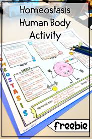 Homeostasis Free Human Body Worksheets And Sketch Note Graphic Organizers Human Body Worksheets Human Body Activities Free Human Body
