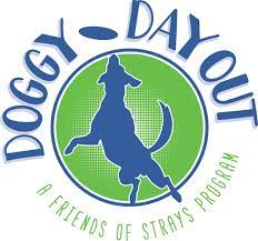 There are great benefits to adopting dogs from a foster home! Programs Friends Of Strays Cat And Dog Adoption In St Petersburg Fl