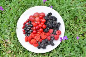 Mulberries grow on a deciduous tree that has many different uses. Plate Of Assortment Berries Raspberry Strawberry Blackberry Stock Photo Picture And Royalty Free Image Image 52846984