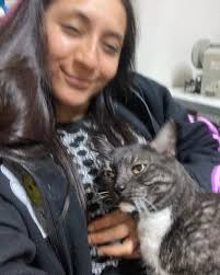 Fer Gutierrez Vargas (@gato_narki) · Instagram 照片和视频