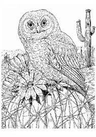 16 apr 2019 ieder jaar op de 2de zondag in mei is het. Kleurplaat Vogel Moeilijk