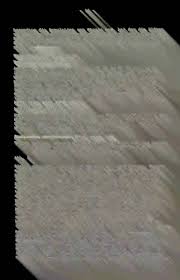 Image result for Hirpicium antunesii