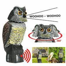 Realistic Bird Scarer Rotating Head Sound Owl Prowler Decoy Protection  Repellent Pest Control Scarecrow Garden Yard Move - Garden Statues   Sculptures - AliExpress