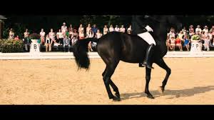 Leider ist uns das kinoprogramm für diesen tag noch nicht bekannt. Ostwind Film Filmclip Das Turnier Ostwind 2 Im Kino Facebook