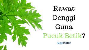 Perbincangan tentang pucuk betik merupakan topik yang lama. Pucuk Betik Sebagai Rawatan Denggi Adakah Ia Berkesan Hello Doktor